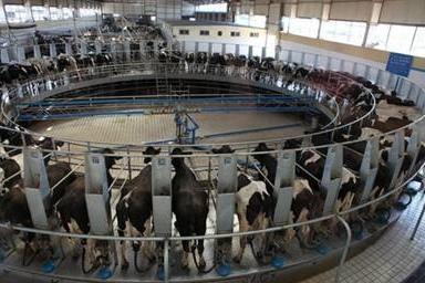 关于谷雨小朋友们的饮食注意什么,谷雨时节养生知识大全