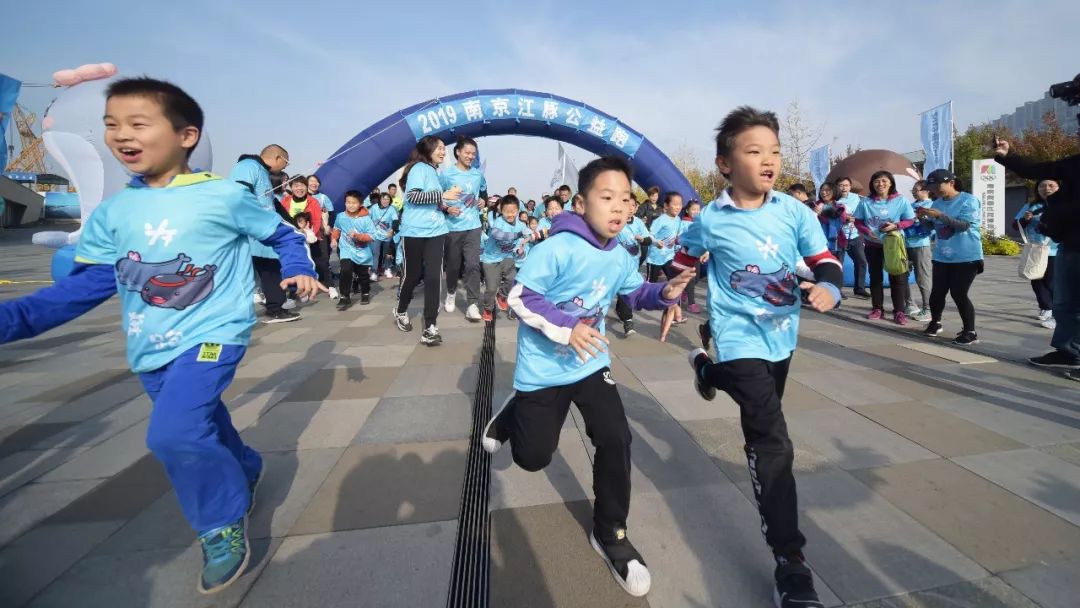 长江江豚吉祥物,南京江豚