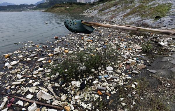 收废品的技巧和方法,收废品怎么才能提高成功率