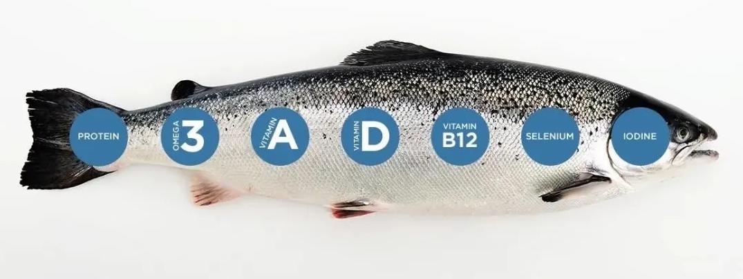 日本三文鱼是挪威进口的吗,三文鱼为什么是日本料理