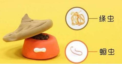 狗后腿无力尿失禁,泰迪狗后腿无力