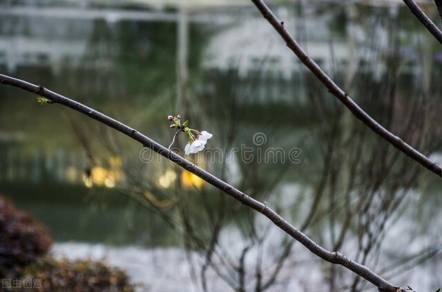 歌曲暗香沙宝亮,精彩音乐汇暗香沙宝亮