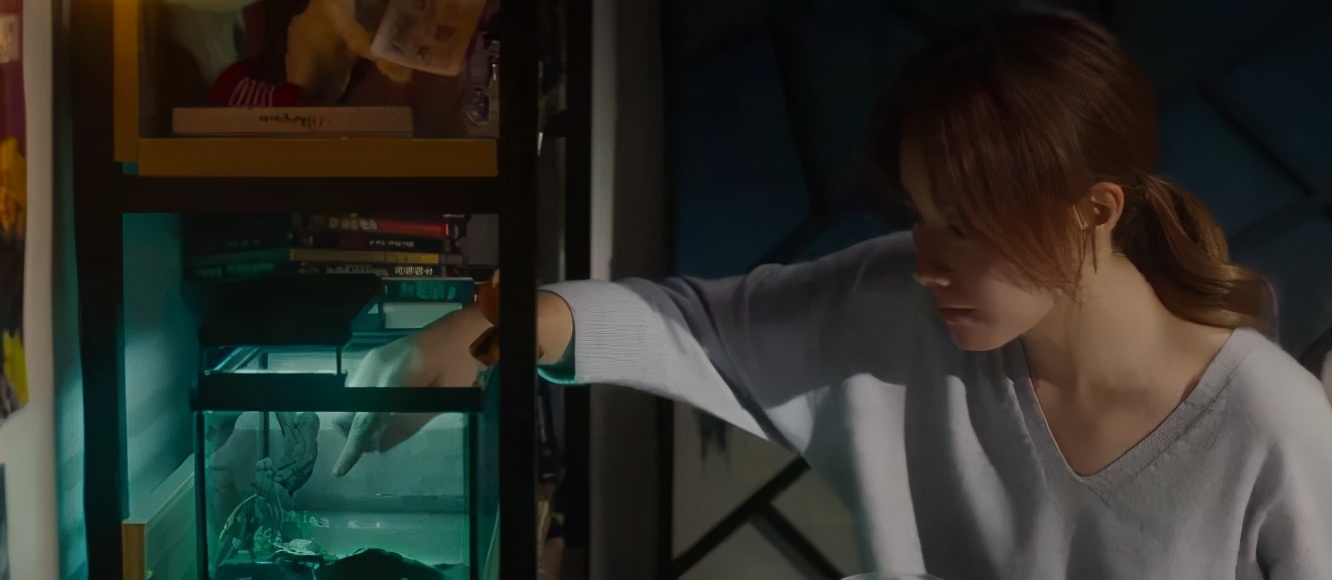 国内没有公映的国产片,没有公映的国产片