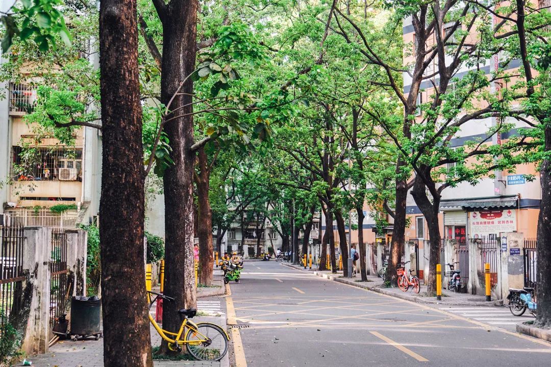 哪里叫南油,南油地铁站