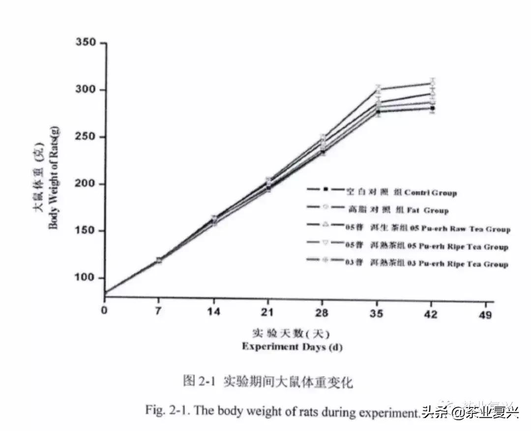 连体操运动员都要喝普洱茶减肥