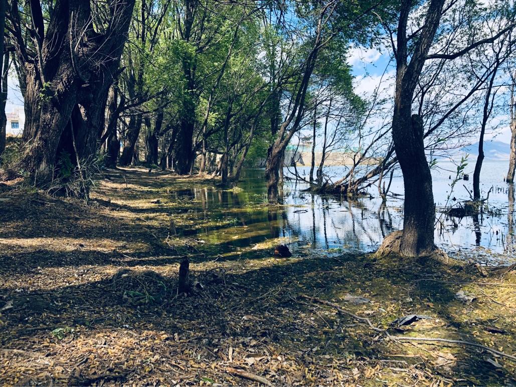 大理环海西路有哪些景点,你向往去的地方