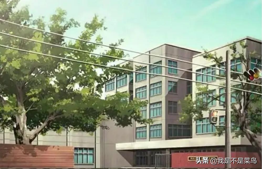 灌篮高手井上雄彦想告诉我们什么,井上雄彦为什么输给富坚