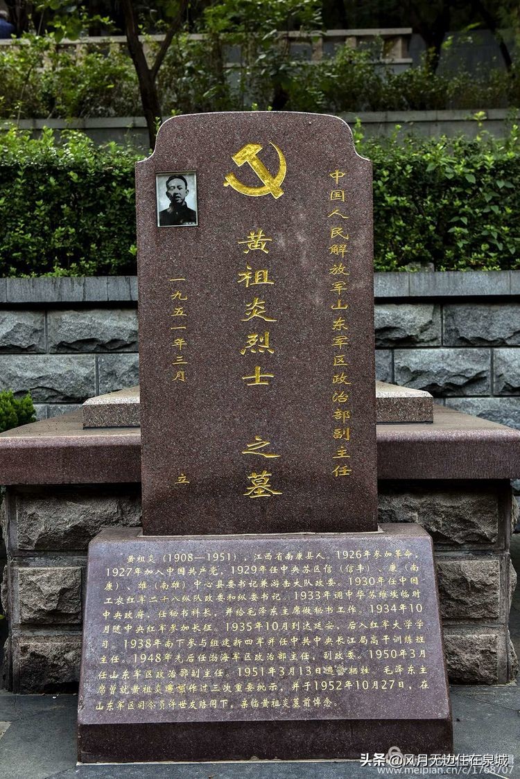 济南秋天的法国梧桐,济南一颗梧桐树