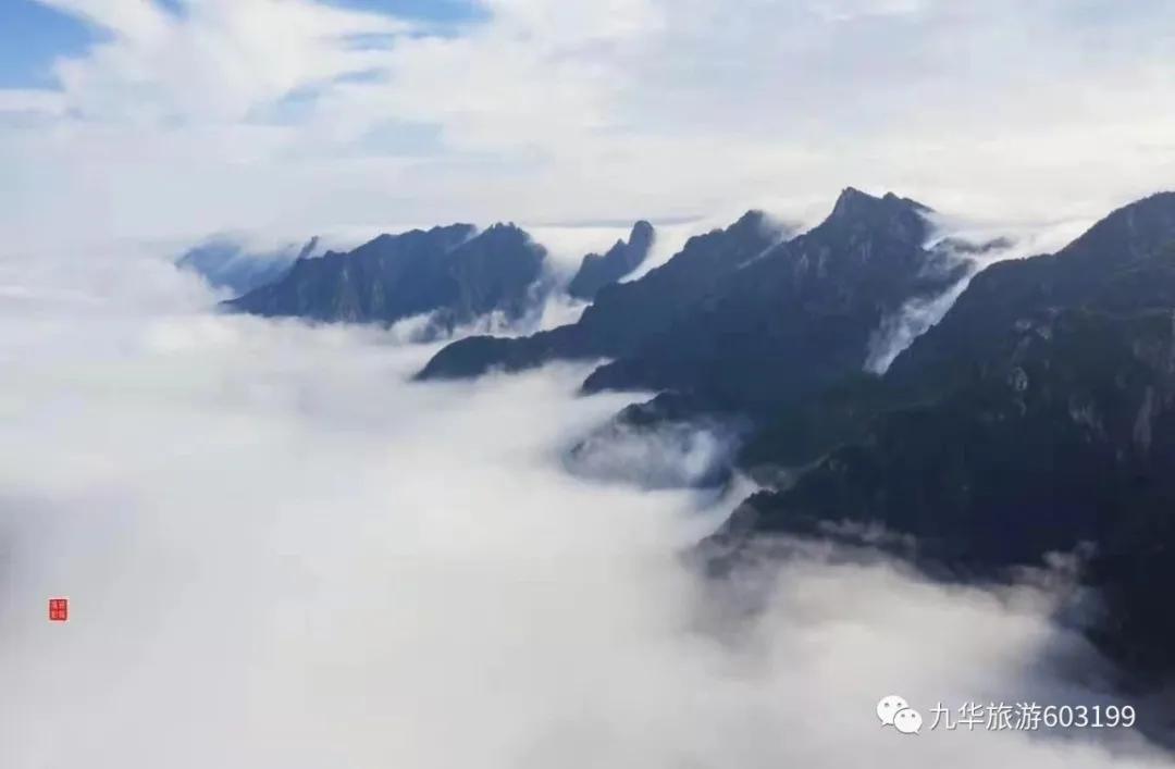 在赞美九华的人里，他们有些不一样