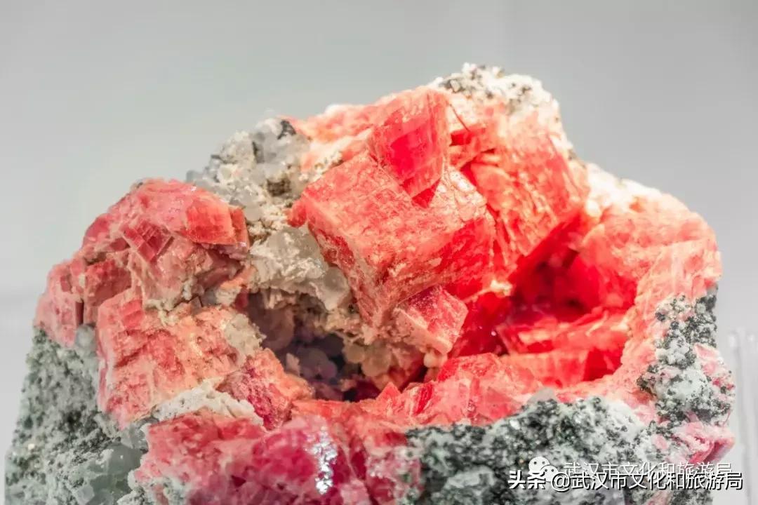 武汉奇特博物馆,武汉奇妙博物馆