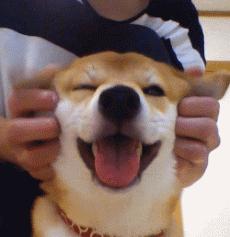 清包半包全包装修的区别是什么,装修中全包跟半包的区别在哪里