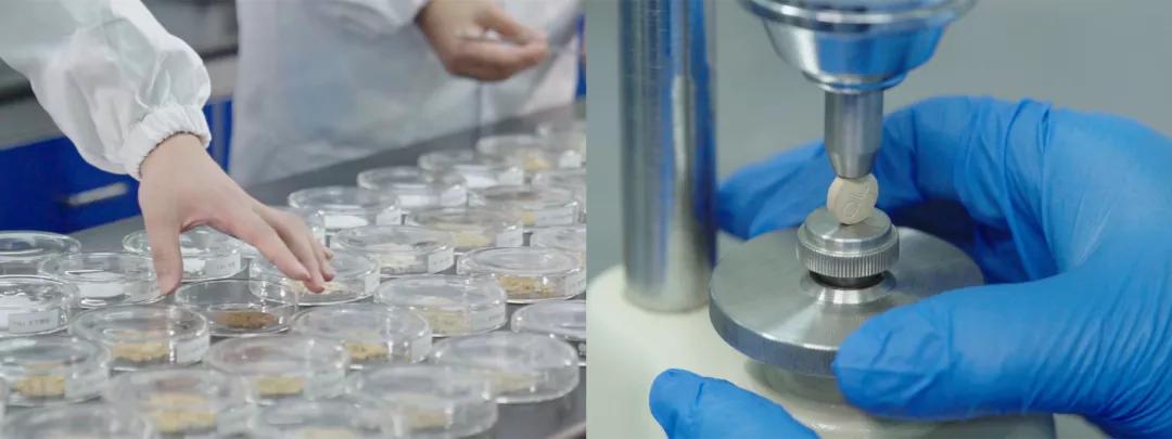 春芝堂健康管理,春芝堂健康