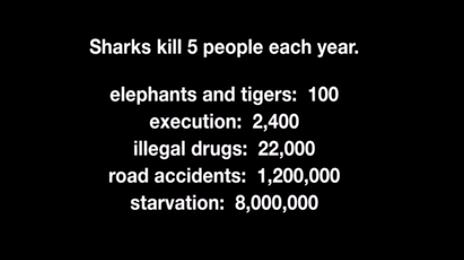 如果让鲨鱼开口,它们会说:“你们对我们有偏见!”