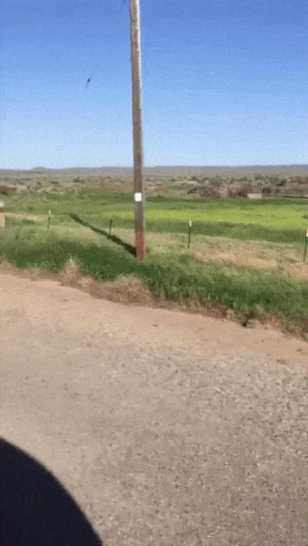 贾玲在沙发上翘二郎腿搞笑图片,贾玲跷二郎腿动图下载