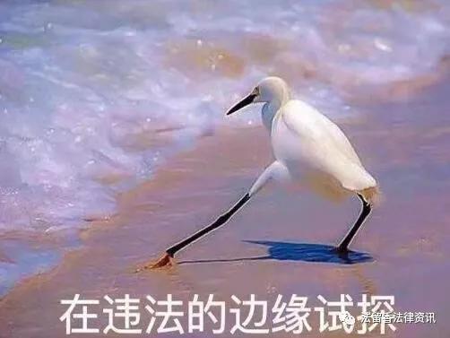 职业打假6人被批捕原因,职业打假人被抓会判刑吗