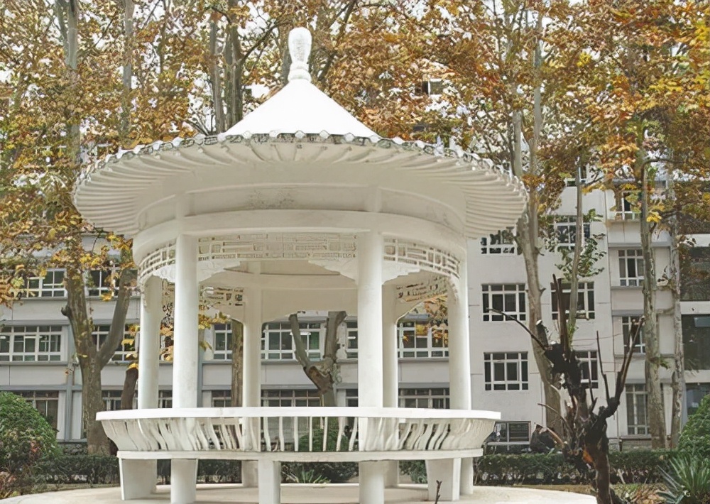 曾经的洛阳,曾经的洛阳第二师范学校