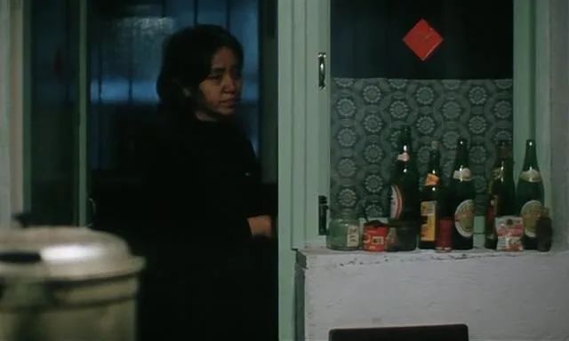 可惜没在中国上映的电影,李冰冰05年电影