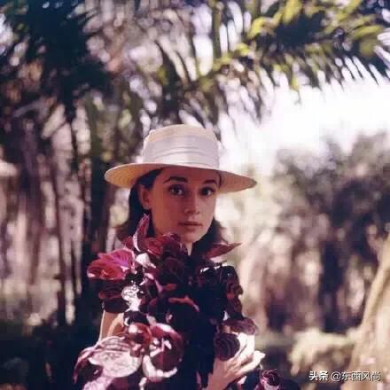 美丽优雅气质美女,美丽气质优雅的美人