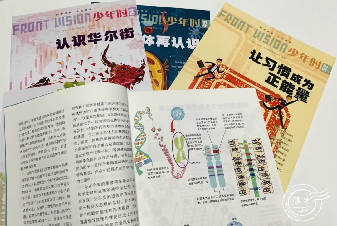 班主任推荐订的杂志，有些真是“一言难尽”|儿童杂志亲测