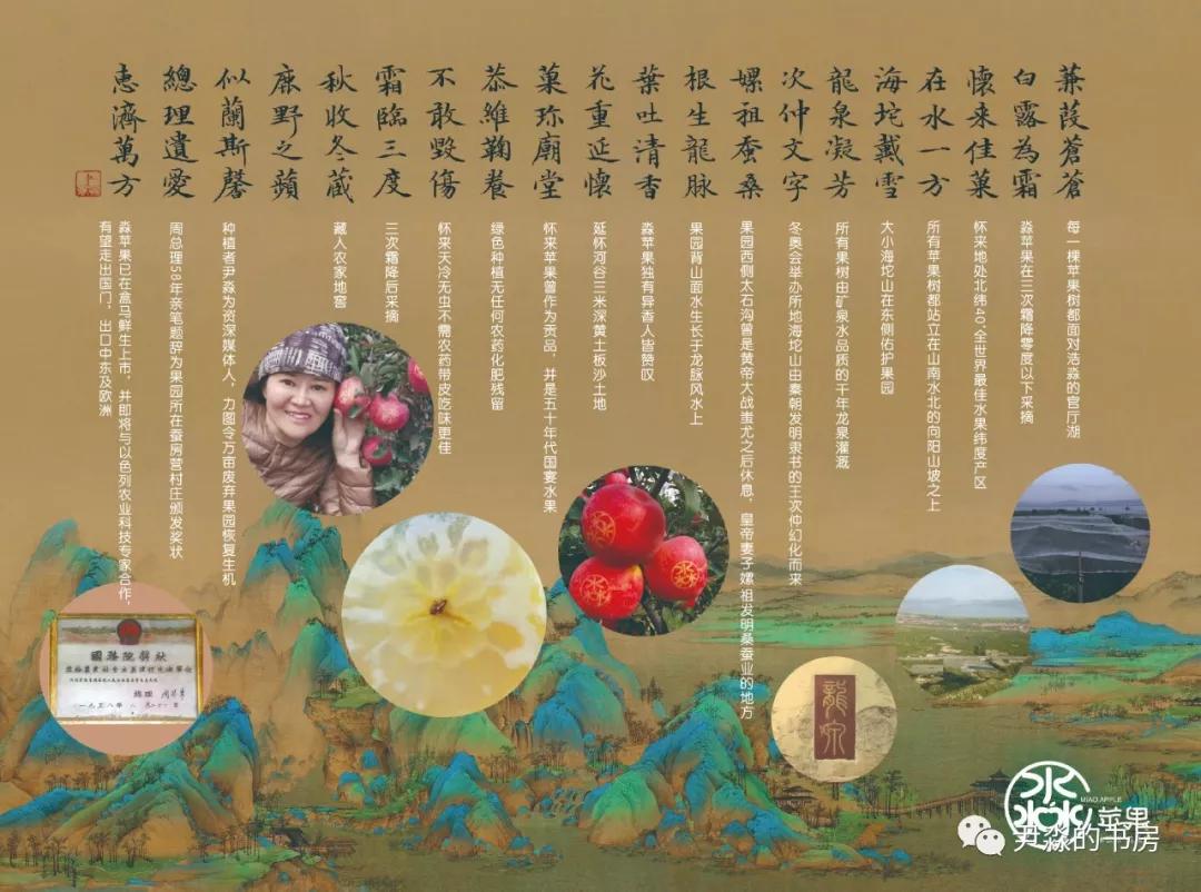 种苹果籽的人,种李子的人