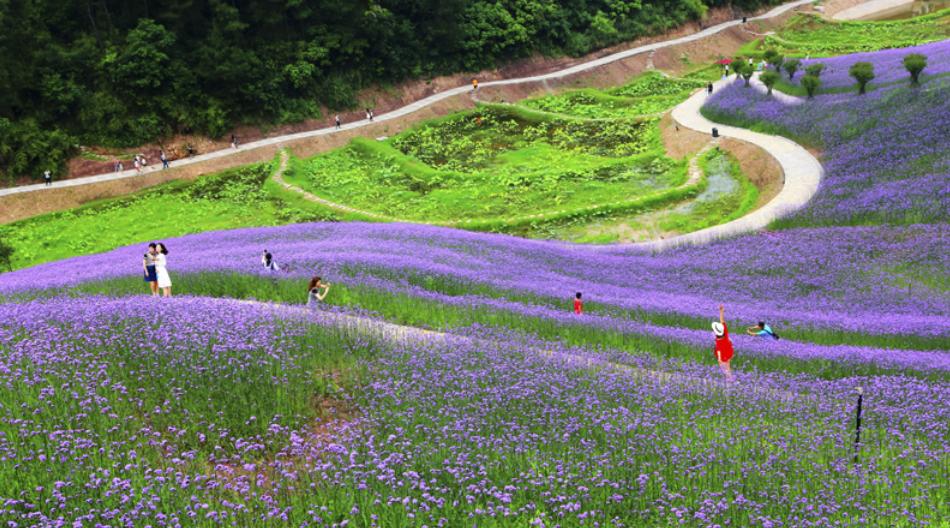 重庆轮滑基地最新消息,重庆万盛轮滑基地