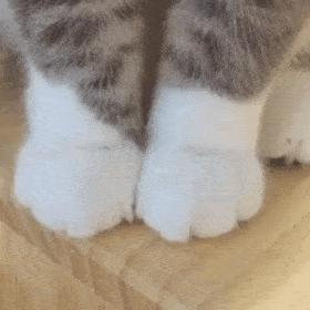 脚臭脚气脚痒脱皮一招根除,脚痒脱皮脚臭怎么回事