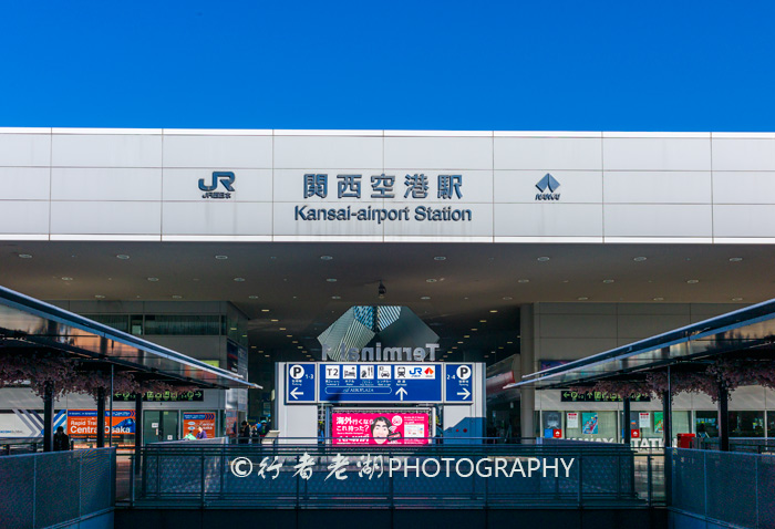 国内旅游怎么选择日本景点,为什么很多人选择日本旅游