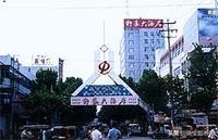 临沂批发城跟青岛的哪个大,临沂批发市场和广州哪个便宜