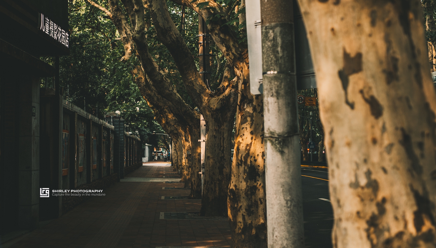 上海香榭丽舍大街,上海有一条东方的香榭丽舍大街