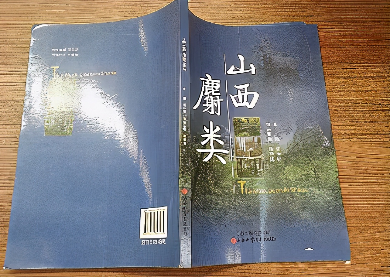 投资一家公司股票需要怎么分析,投资股票的十大要诀