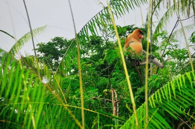 免签以后也要准备回程的机票吗,免签30天可以去几次