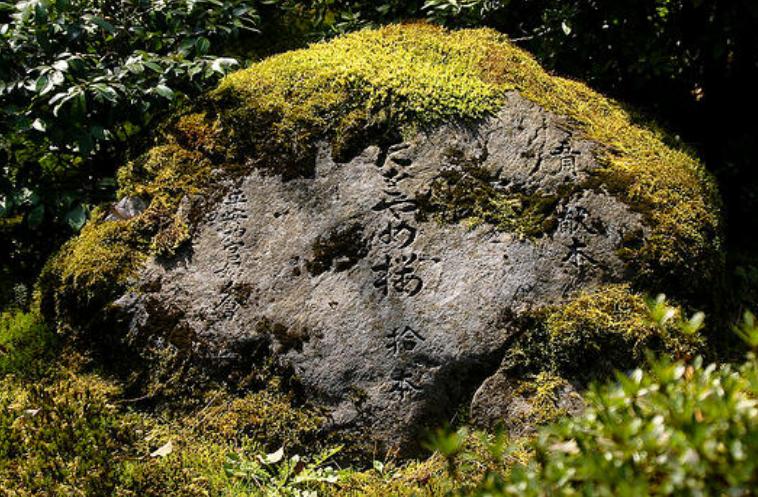 钙片跟软骨素一样吗,钙片跟碳酸钙的区别