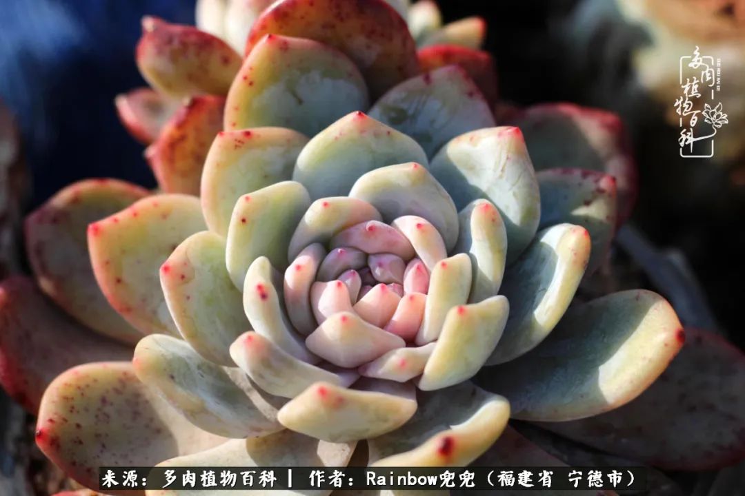 岁月无波澜余生不悲欢是啥意思,愿你岁月无波澜敬我余生无悲欢