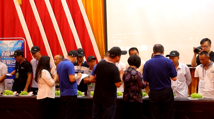 新洋丰农业项目,新洋丰绿色