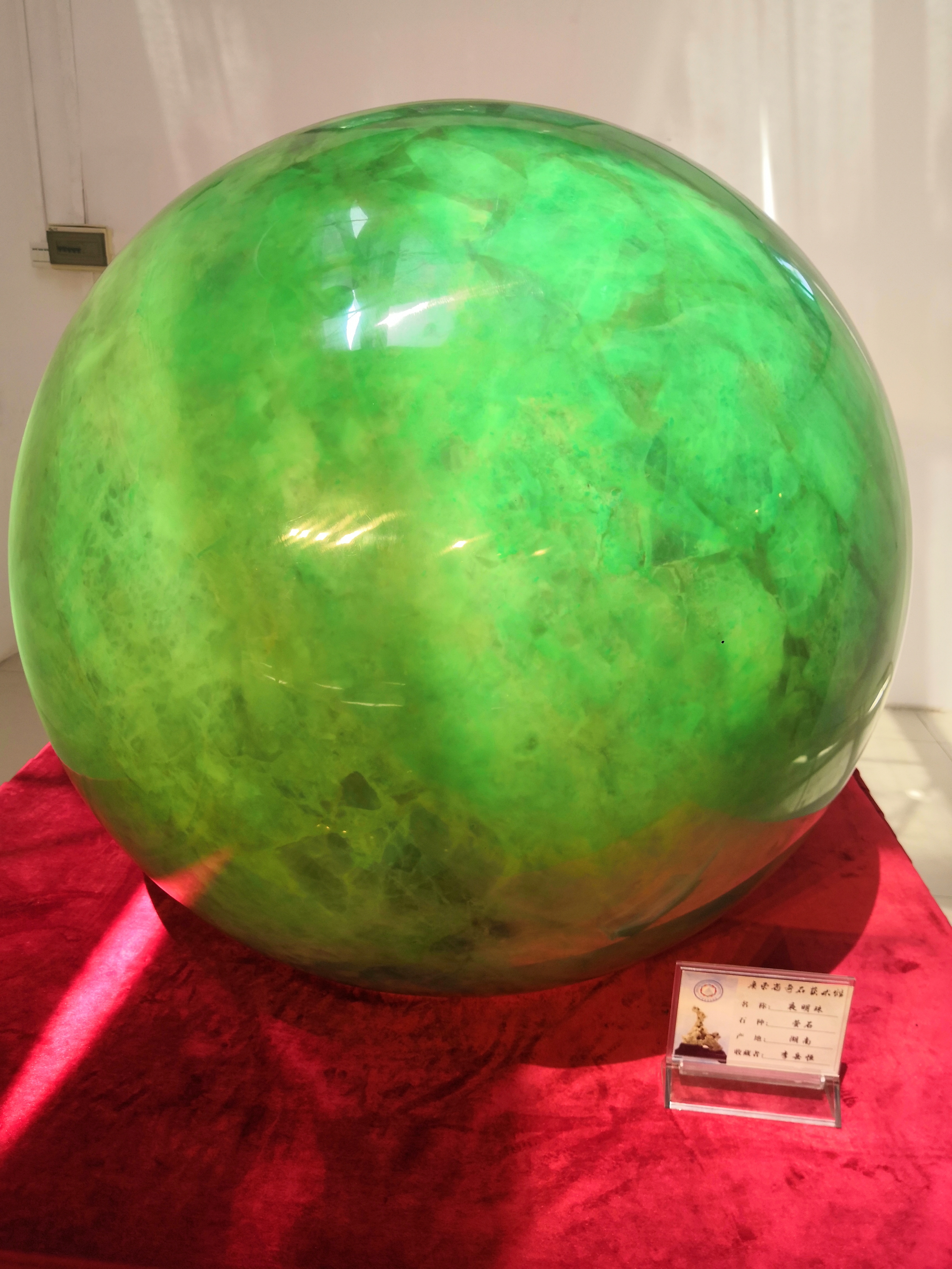 真正的夜明珠是什么样子的,科普奇闻第一季夜明珠