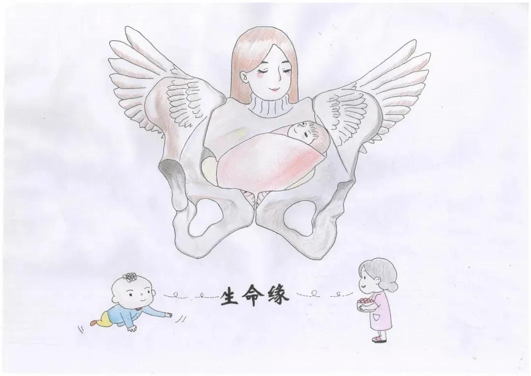 左手丹青,右手手术刀,985名校医学生笔记曝光!网友:这是学神级别的!