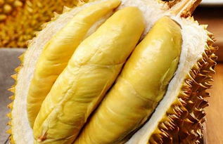 看榴莲熟的技巧,如何挑一个软糯香甜的榴莲