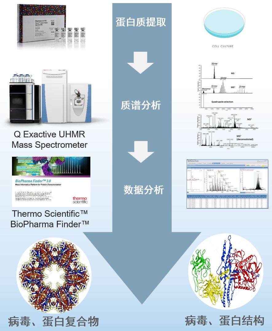 抗疫的药有什么中药,抗疫药方有哪些