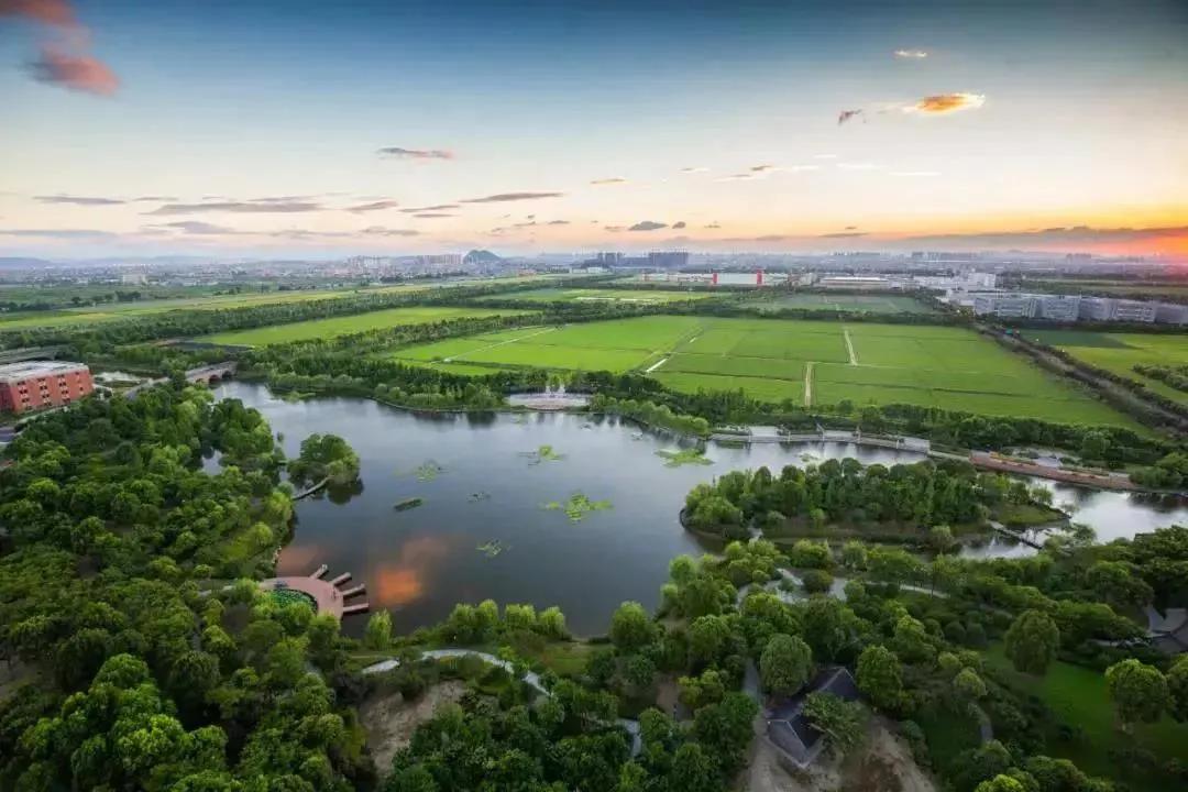 钱塘新区的东湖与金沙湖比较,钱塘区金沙湖规划