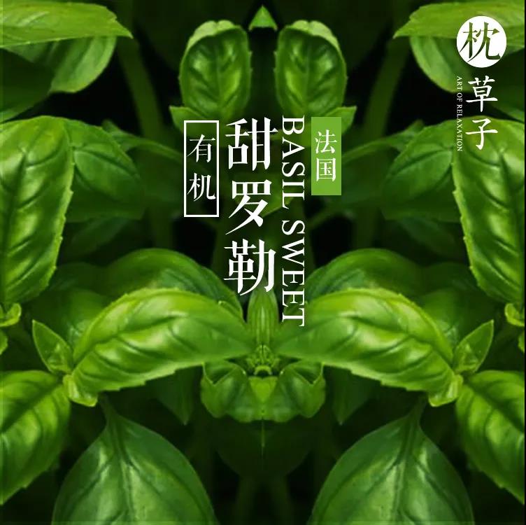 空气清新剂去除臭味,改善家中空气用空气清新剂