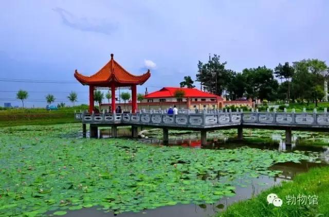 我叫勃利，这是我的个人名片