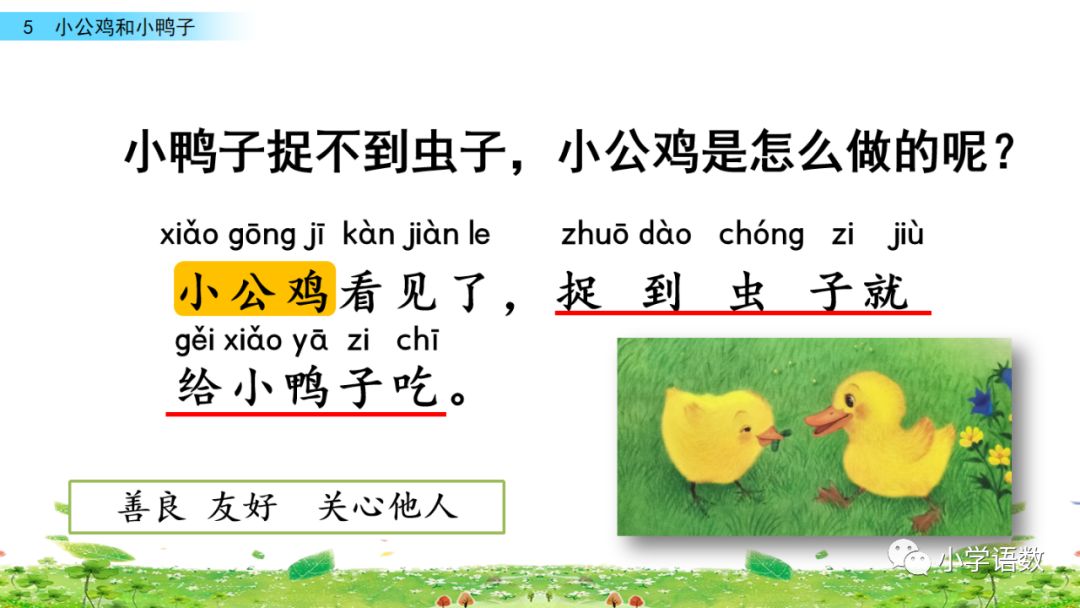 小公鸡和小鸭子一年级下册组词,一年级语文小公鸡和小鸭子复习