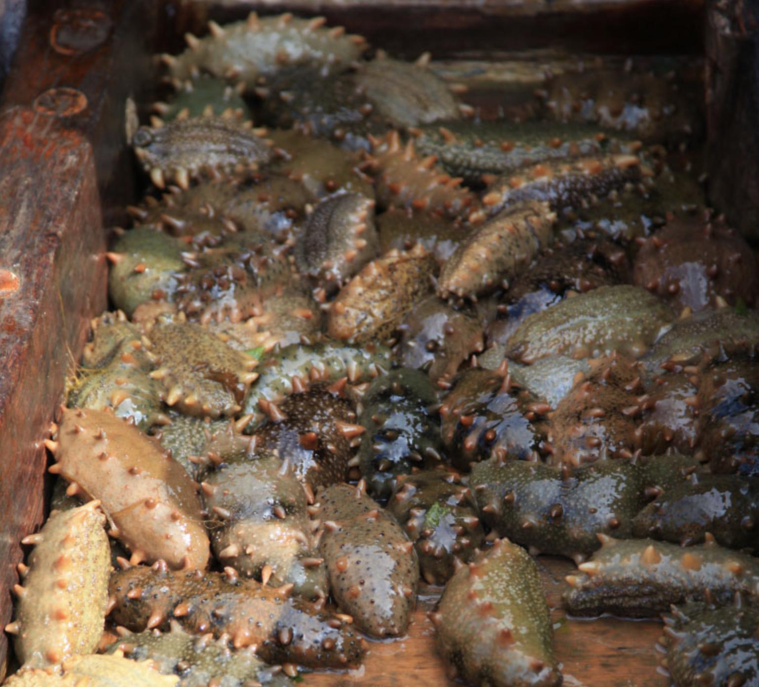 端午海岛旅游攻略,端午海岛游