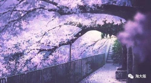 日本lupivia白桃乌龙茶,lupicia白桃乌龙茶旗舰店