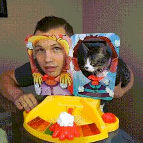 脑子一热养猫后悔怎么办,养猫后悔的原因有哪些