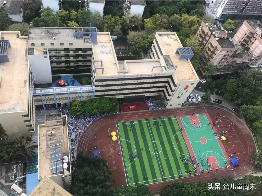 南山蛇口育才一小/二小/三小/四小,哪所更合适你家孩子?