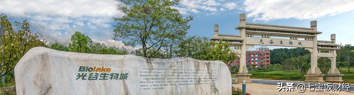 疫情结束后武汉的发展前景如何,疫情后武汉经济发展趋势