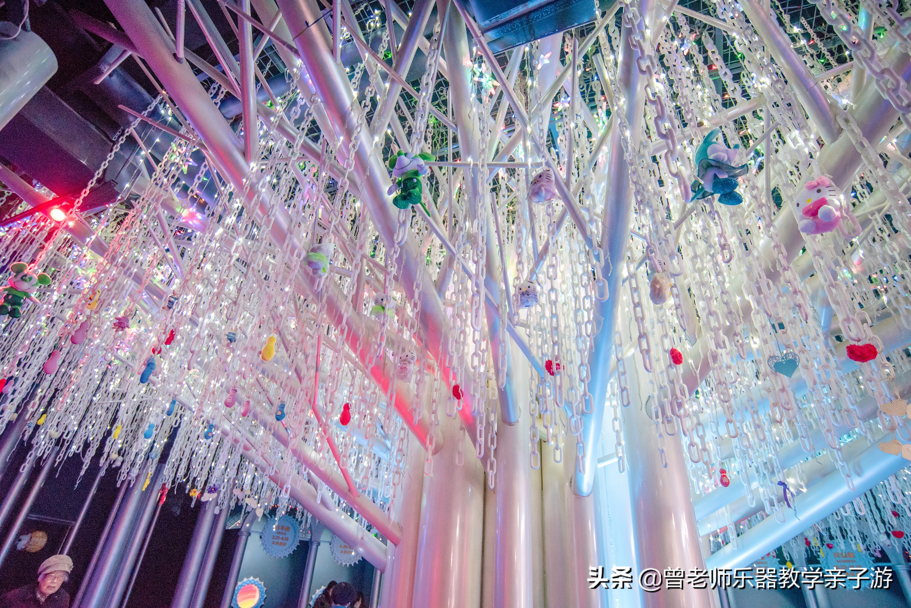 西安太奥海洋馆,西安极地海洋世界海豚表演