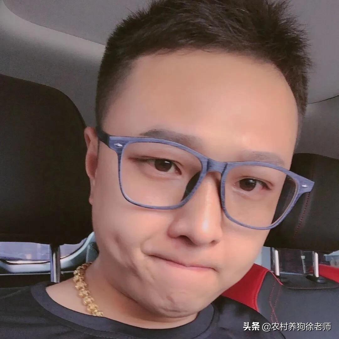 狗狗感染细小和冠状能治好吗,狗狗细小怎么治疗在家里怎么灌药