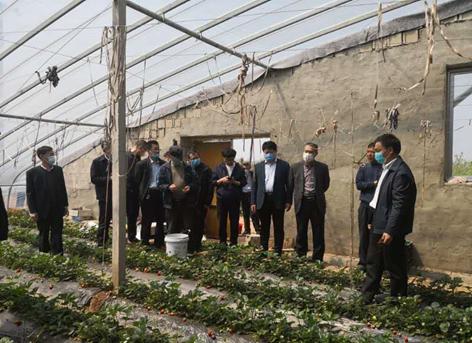 乡村振兴博士专家服务团,乡村振兴服务团